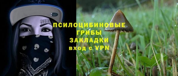 apvp Усмань