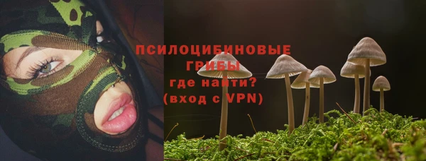 apvp Усмань