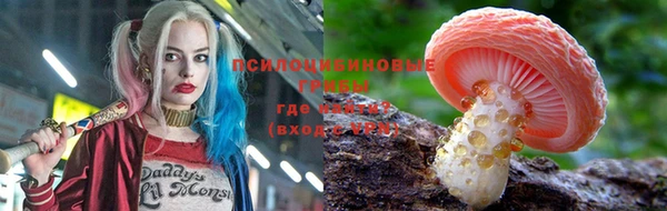 apvp Усмань